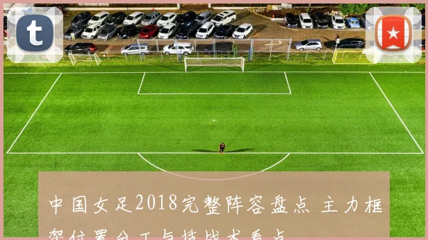 中国女足2018完整阵容盘点 主力框架位置分工与技战术看点
